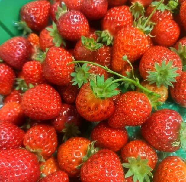 いちごカレーの素材